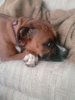 nicoledw profile photo