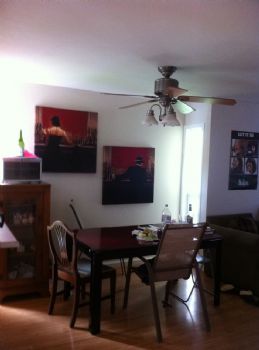 caballed1 profile photo