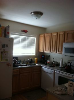 caballed1 profile photo