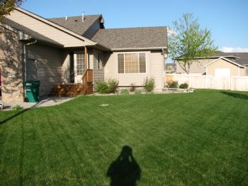 scobydo profile photo