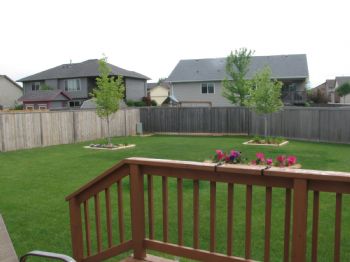 scobydo profile photo