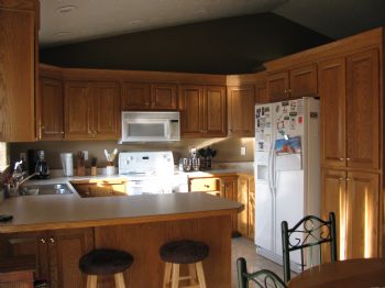 scobydo profile photo