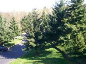 fruggies21 profile photo