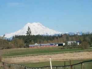 fruggies21 profile photo