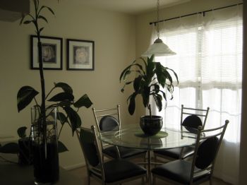 mayocm profile photo