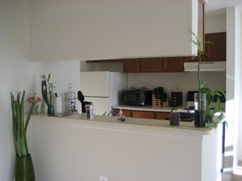 mayocm profile photo