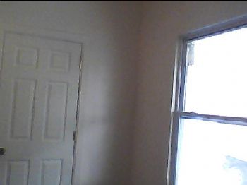 rortiz profile photo