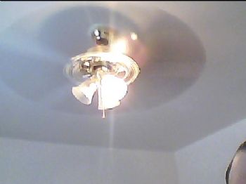 rortiz profile photo