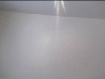 rortiz profile photo