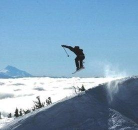 orrescot profile photo