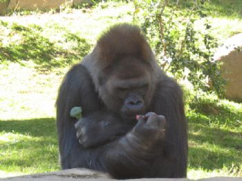 jamescmazza profile photo