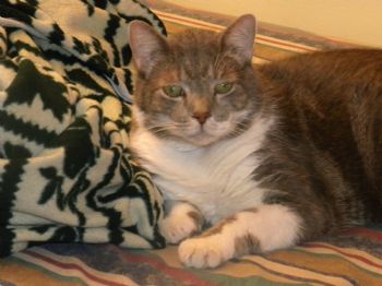 Cuzinchewy profile photo