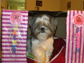 Cuzinchewy profile photo