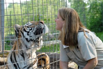 celticat333 profile photo