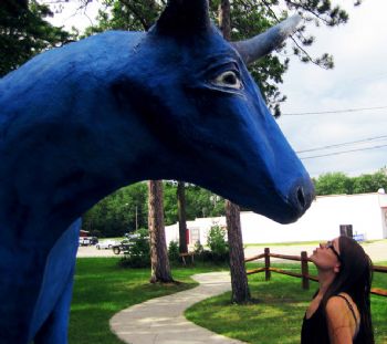 LauraEckert profile photo