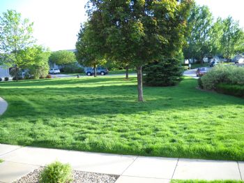 griggles87 profile photo