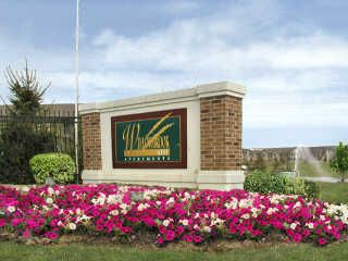 mahreen profile photo