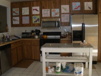 MollyDM profile photo