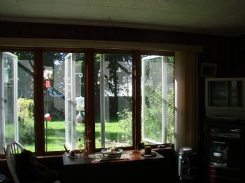 roomie258 profile photo