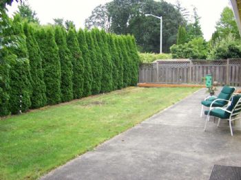 vidma710 profile photo