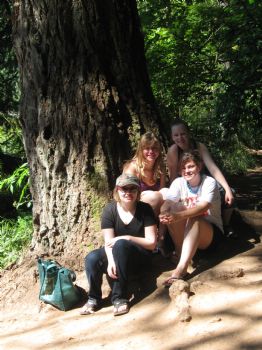 ChillRoomie profile photo