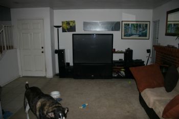 bandit9 profile photo