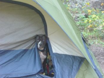 DukeRaul profile photo