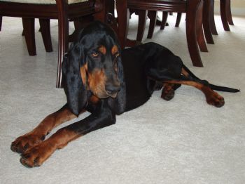 plars_1 profile photo