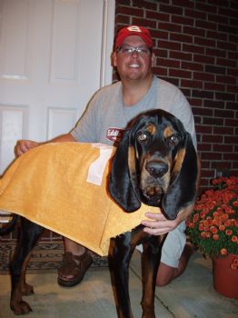 plars_1 profile photo