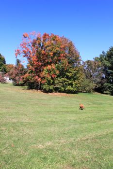 Andy2010 profile photo