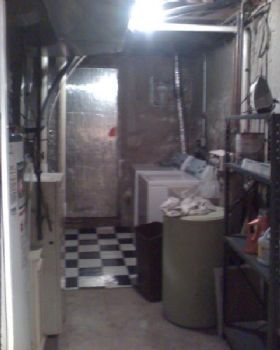 earthsyren profile photo