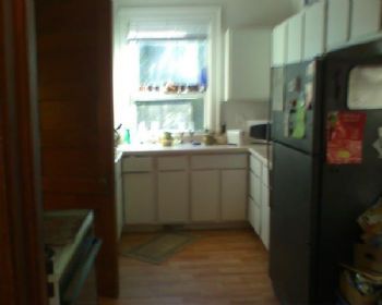 earthsyren profile photo