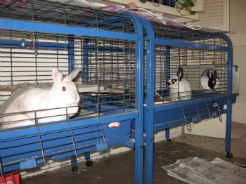 grratefulady profile photo