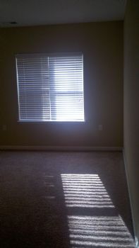 SDAbel12 profile photo