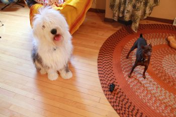 jbork16 profile photo