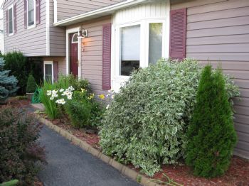 vic.315 profile photo