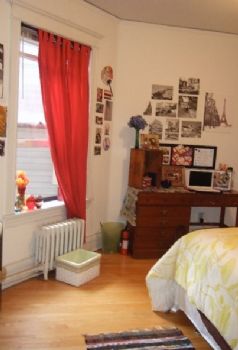 strozin2 profile photo