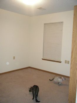 mellyxchaos profile photo