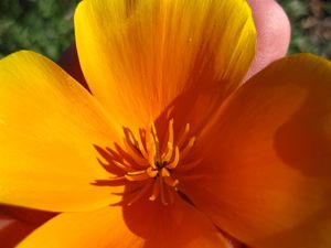 bernicehawk profile photo