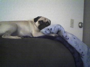 summer621 profile photo