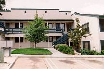 molly115 profile photo