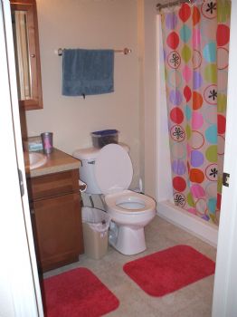 vettech2011 profile photo