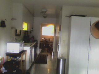 rockrotten profile photo