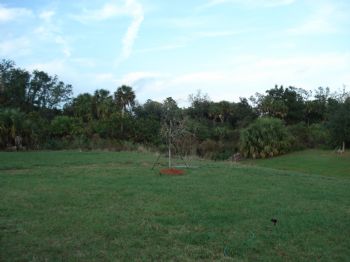 clplaplante profile photo