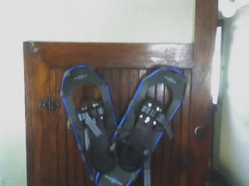 bretswain profile photo