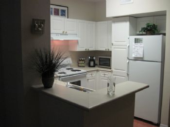 chaser5120 profile photo