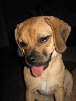 Alexandra929 profile photo