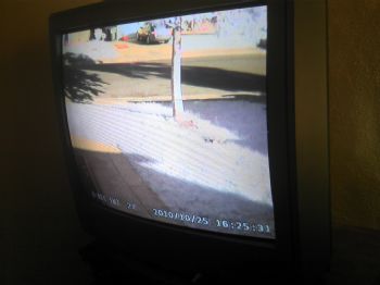 craneo profile photo