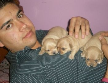 Gera_Espino profile photo