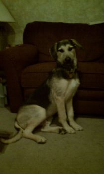 jesnb15 profile photo